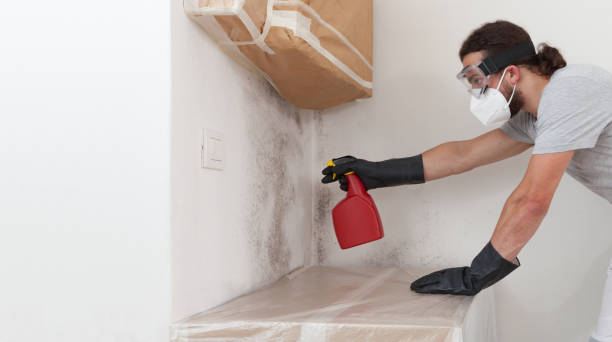 Professional Basement Mold Remediation technician working in Hathorne, MA
